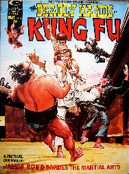 the deadly hands of kung fu